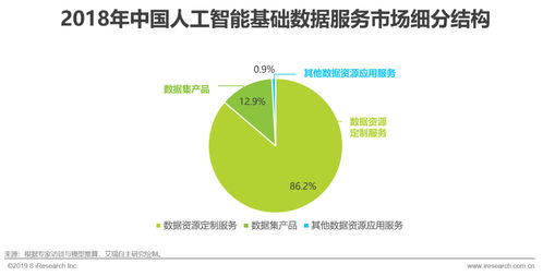 2019年中國人工智能基礎數據服務行業研究報告